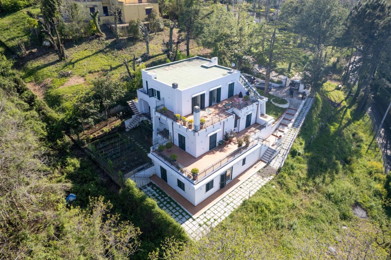 Villa Maiki Torca المظهر الخارجي الصورة