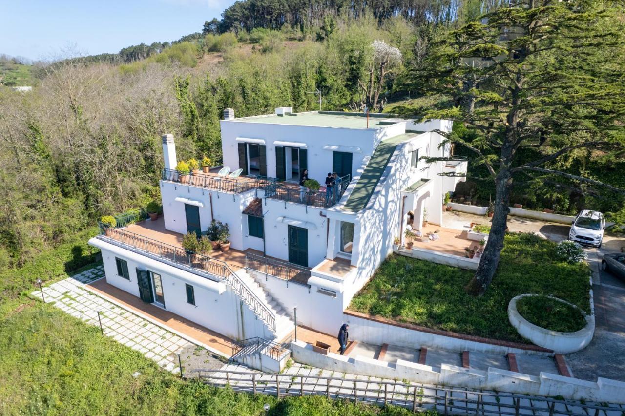 Villa Maiki Torca المظهر الخارجي الصورة